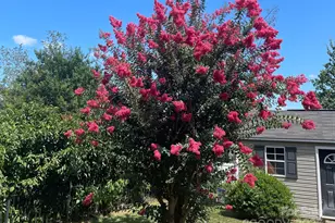 115 Lamplighter Ln, Mooresville, NC 28115 - Photo 30