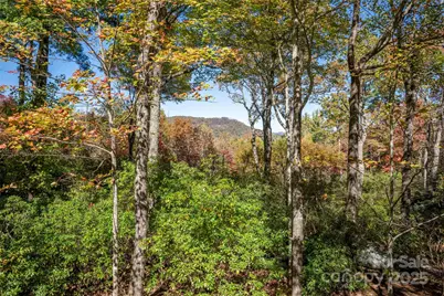 242 Club Colony Lane, Lake Toxaway, NC 28747 - Photo 38