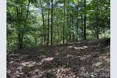 Tbd Hickory Hollow Road #102 & 103, Purlear, NC 28665 - Photo 6
