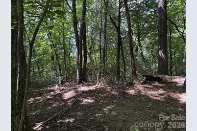 Tbd Hickory Hollow Road #102 & 103, Purlear, NC 28665 - Photo 16