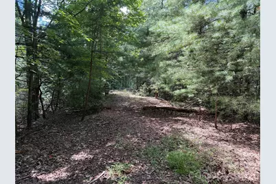 Tbd Hickory Hollow Road #102 & 103, Purlear, NC 28665 - Photo 4