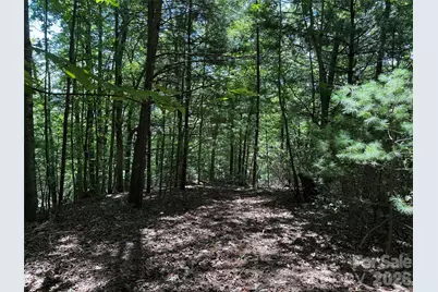 Tbd Hickory Hollow Road #102 & 103, Purlear, NC 28665 - Photo 18
