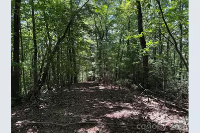 Tbd Hickory Hollow Road #102 & 103, Purlear, NC 28665 - Photo 14