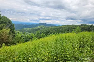 1925 S Fork Rd, Marshall, NC 28753 - Photo 28