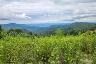 1925 S Fork Rd, Marshall, NC 28753 - Photo 30