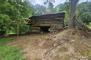 1925 S Fork Rd, Marshall, NC 28753 - Photo 4