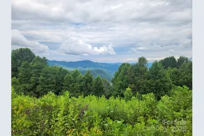 1925 S Fork Road, Marshall, NC 28753 - Photo 36