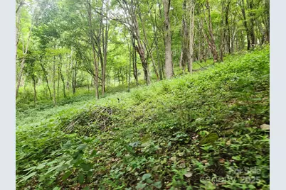 1925 S Fork Road, Marshall, NC 28753 - Photo 22