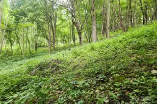 1925 S Fork Rd, Marshall, NC 28753 - Photo 22