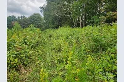 1925 S Fork Road, Marshall, NC 28753 - Photo 38