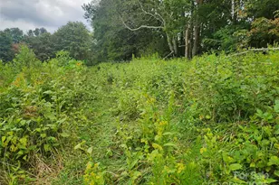 1925 S Fork Rd, Marshall, NC 28753 - Photo 38