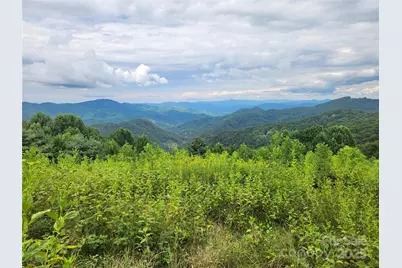 1925 S Fork Road, Marshall, NC 28753 - Photo 34