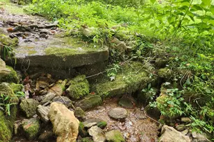 1925 S Fork Rd, Marshall, NC 28753 - Photo 18