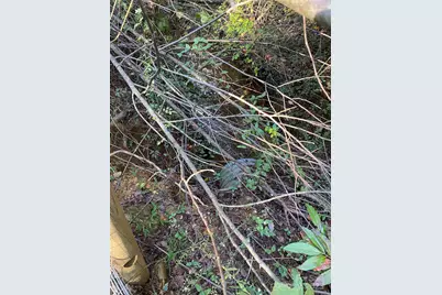 9525 Mull Road, Vale, NC 28168 - Photo 34