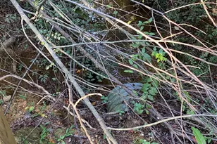 9525 Mull Rd, Vale, NC 28168 - Photo 34