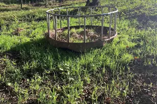 9525 Mull Rd, Vale, NC 28168 - Photo 36