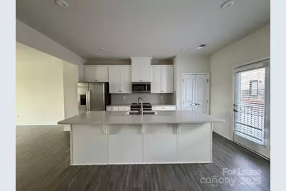 216 Russell Branch Lane, Charlotte, NC 28211 - Photo 8
