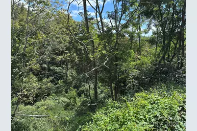 Tbd Linhigh Drive #66, Newland, NC 28657 - Photo 2