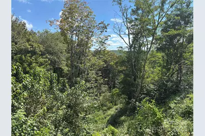 Tbd Linhigh Drive #66, Newland, NC 28657 - Photo 4