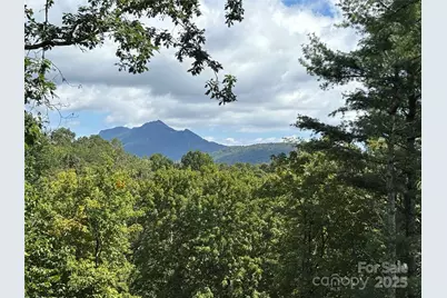 Tbd Linhigh Drive #66, Newland, NC 28657 - Photo 1