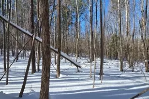 1870 Hwy 49 Hwy, New London, NC 28127 - Photo 12