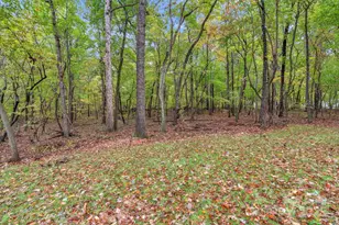 5624 Tipton Rd, Monroe, NC 28112 - Photo 46