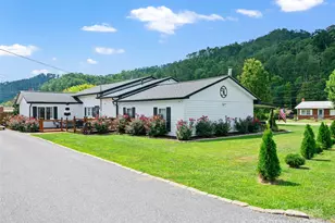 12240 Nc Hwy 226 None, Bakersville, NC 28705 - Photo 2