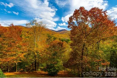 39 Ox Bow Crossing, Weaverville, NC 28787 - Photo 2