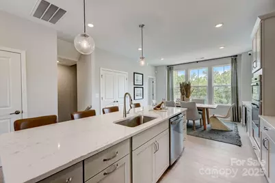 508 Annie Lowery Way, Davidson, NC 28036 - Photo 8