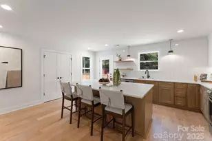 1708 Anderson St, Charlotte, NC 28205 - Photo 8