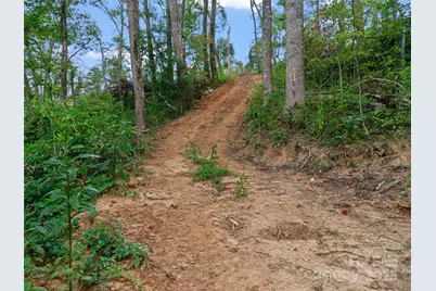 99999 Youngs Gap Road, Fletcher, NC 28732 - Photo 14