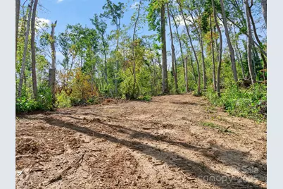 99999 Youngs Gap Road, Fletcher, NC 28732 - Photo 12