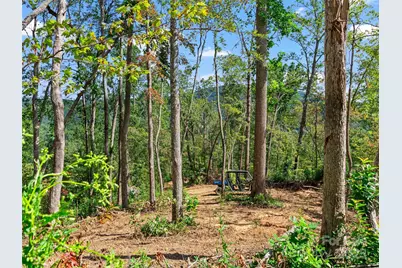 99999 Youngs Gap Road, Fletcher, NC 28732 - Photo 6
