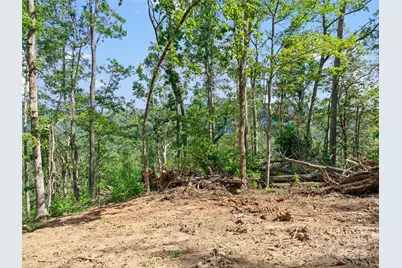 99999 Youngs Gap Road, Fletcher, NC 28732 - Photo 8
