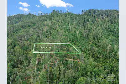 99999 Youngs Gap Road, Fletcher, NC 28732 - Photo 28