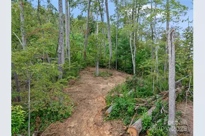 99999 Youngs Gap Road, Fletcher, NC 28732 - Photo 18