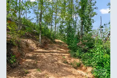99999 Youngs Gap Road, Fletcher, NC 28732 - Photo 16