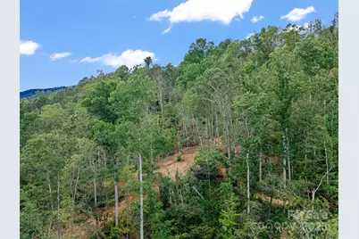 99999 Youngs Gap Road, Fletcher, NC 28732 - Photo 30