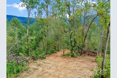 99999 Youngs Gap Road, Fletcher, NC 28732 - Photo 20