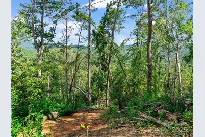 99999 Youngs Gap Road, Fletcher, NC 28732 - Photo 22
