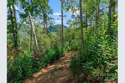 99999 Youngs Gap Road, Fletcher, NC 28732 - Photo 24