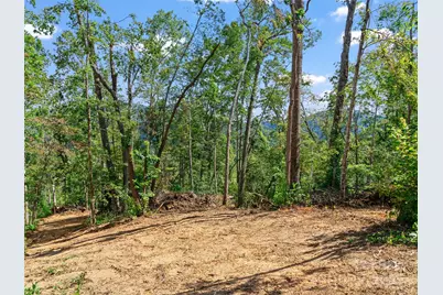 99999 Youngs Gap Road, Fletcher, NC 28732 - Photo 4