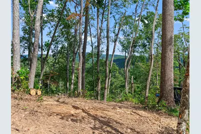 99999 Youngs Gap Road #North Lot, Fletcher, NC 28732 - Photo 4
