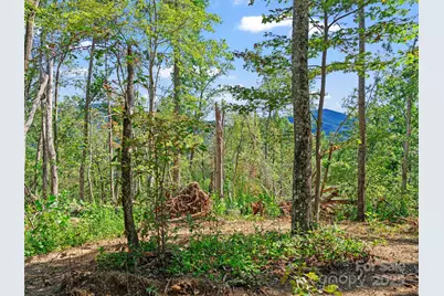 99999 Youngs Gap Road #North Lot, Fletcher, NC 28732 - Photo 8