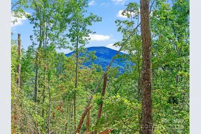 99999 Youngs Gap Road #South Lot, Fletcher, NC 28732 - Photo 2