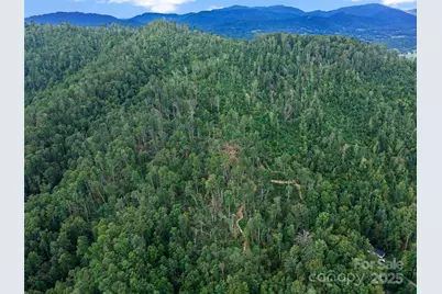 99999 Youngs Gap Road #South Lot, Fletcher, NC 28732 - Photo 28