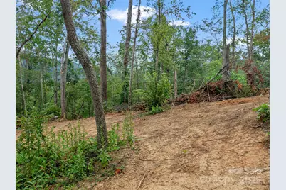 99999 Youngs Gap Road #South Lot, Fletcher, NC 28732 - Photo 24