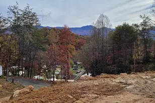 53 Dakota Wy, Bryson City, NC 28713 - Photo 8