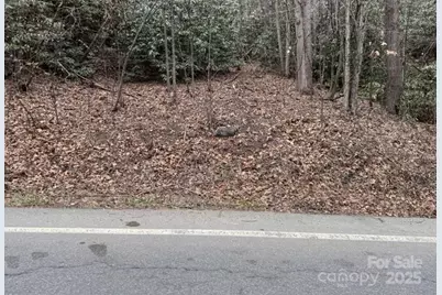 Tbd Banner Elk Highway, Elk Park, NC 28622 - Photo 4