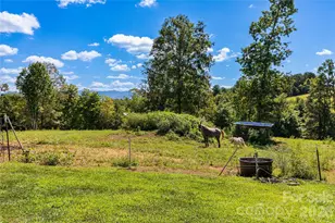653 Mag Sluder Rd, Alexander, NC 28701 - Photo 6
